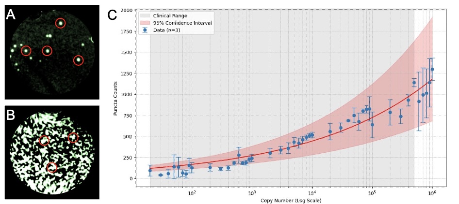 Quantitative HIV Viral Load Monitoring Via Fluorescent Image Analysis